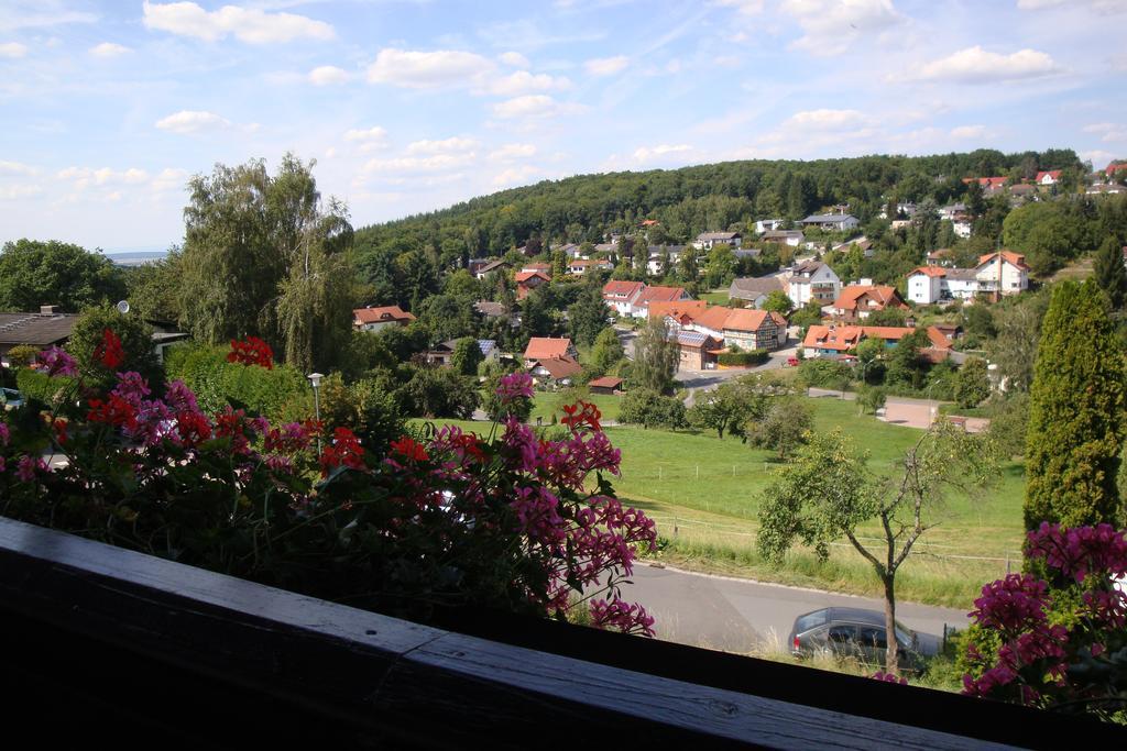 Pension Talblick Hoechst im Odenwald Exterior photo